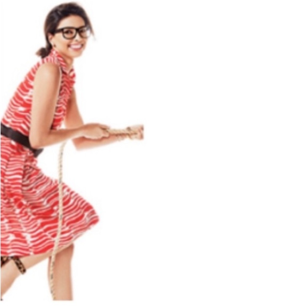 CAbi Brushstroke Abstract Pleated Drop Waist Preppy Sleeveless Shirt Dress XS